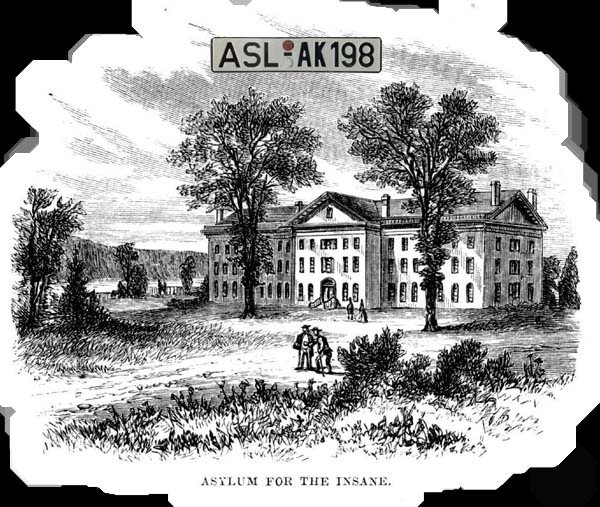asylum for the insane